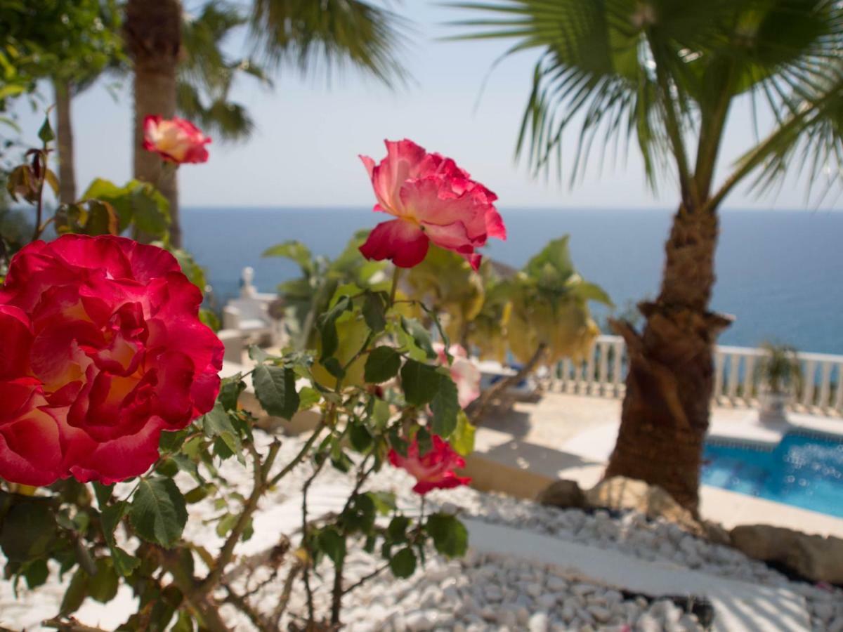 Frontline Villa, Five Star Deluxe El Campello Εξωτερικό φωτογραφία